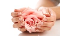 female-hands-with-pink-rose-femininity-concept